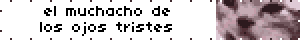 [Gif of a cat blinking. "el muchacho de los ojos tristes"]
